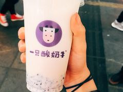 -一只酸奶牛(八一路店)