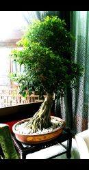 -花家怡园·宴会厅(簋街四合院总店)