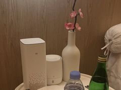 -耳道精致采耳(运达汇店)