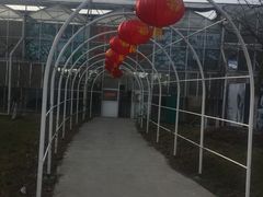 -南通鲜花小镇