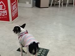 -纳吉亚猫专科动物医院·北北分院