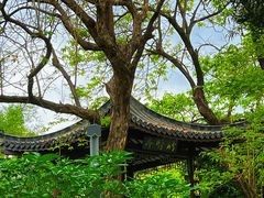 -四海公园(南山区)