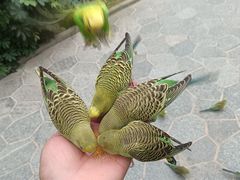 -南宫五洲植物乐园