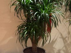 -嘎吧锅私家菜馆(联想科技城店)