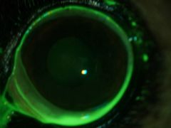 -爱侣宠医·鹦鹉专科·小型哺乳类·异宠专科(灵石路店)