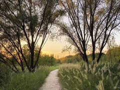 -昆山城市生态森林公园