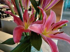 -南堂馆·新川菜(春熙路店)