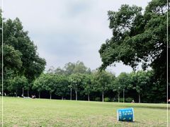 -东莞植物园