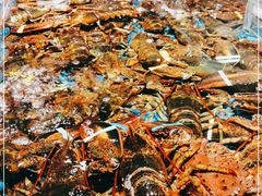 -徐记海鲜(汉城湖|太奥店)