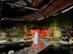 -雅安楠水阁温泉酒店