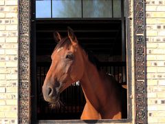 -意大利农场度假村