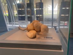 -中国（海南）南海博物馆