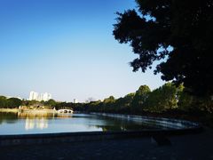 -建水文庙
