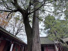 -少华山国家森林公园