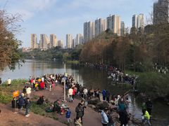 -重庆彩云湖湿地公园