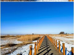 -黑龙江扎龙生态旅游区