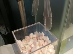 -狐狸和向日葵(北京路店)