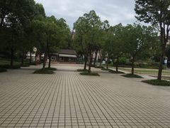 -新江湾城公园