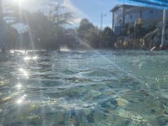 -青鱼湾水上乐园