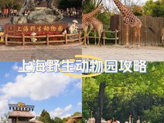 -上海野生动物园