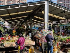 -曲阳花鸟市场(曲阳路店)