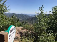 -大岭沟猕猴桃谷风景区