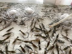 -芭提雅Amporn Seafood自助餐厅