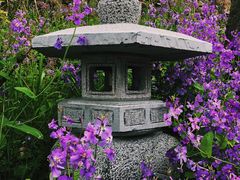 -平湖九龙山旅游度假区