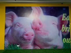 -chi K11艺术空间展览厅