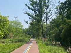 -桤木河湿地公园