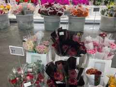 -盒马X会员店(王府井奥莱UP TOWN店)