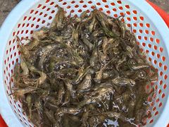 -刘艳明炒货(小心桥店)