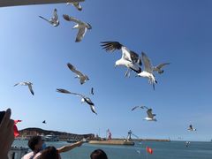 -海驴岛(荣成市)