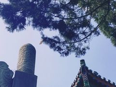-北极阁公园