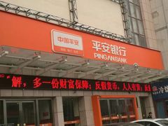 -平安银行(郑州东风路支行)