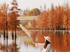 -白鹭湾湿地公园