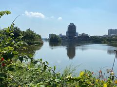-眉山湿地公园(东坡区)