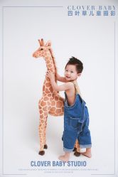 -四叶草环球旅拍