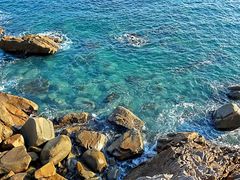 -广东惠东海龟国家级自然保护区