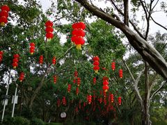 -大屏嶂森林公园