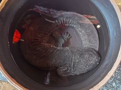 -印象鲵宴·张家界地标美食名片(溪布街店)