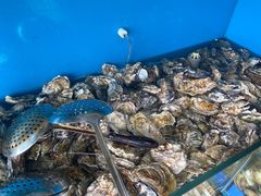 -港畔赶海蒸汽海鲜烧烤自助(仙螺岛店)