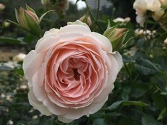 -人民公园(罗湖区)