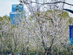 -上海吴淞炮台湾国家湿地公园
