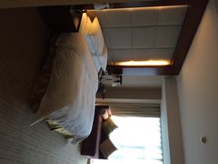 维景国际大酒店-重庆维景国际大酒店