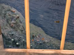 -蓝珊甄选海鲜自助·火锅大排档(近阿那亚店)