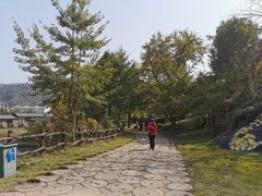 -千年银杏谷文化旅游区