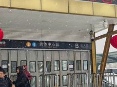 -奥体中心(地铁站)