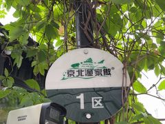 -京北渔家傲