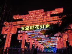 -淄博花灯齐彩城